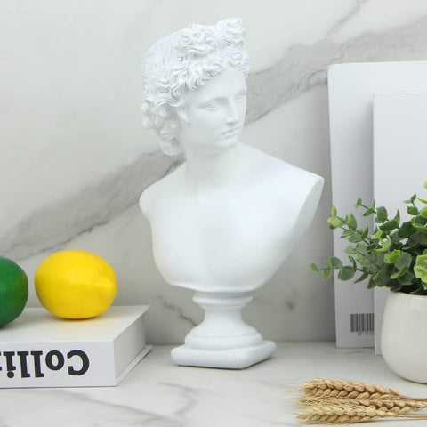 11in Greek Statue of David, Classic Roman Bust Greek Mythology Sculpture for Home Decor