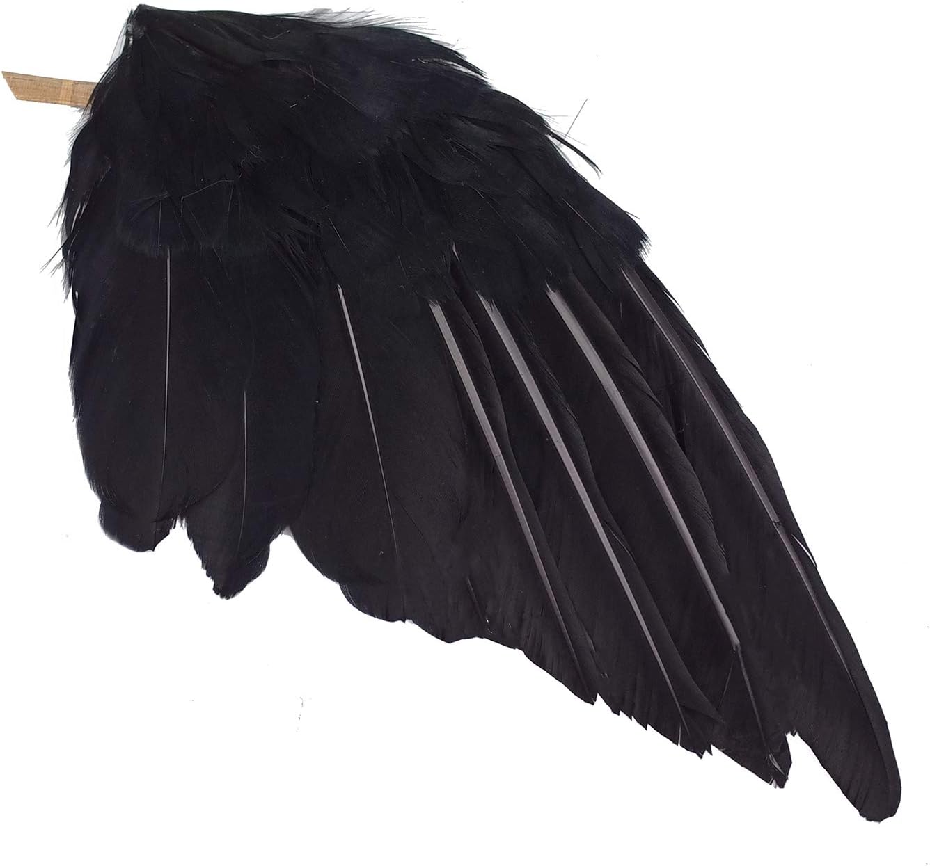 2-Pack Realistic Crows Lifesize Extra Large Handmade Black Feathered Crow for Halloween Decorations Birds, L (13 inch+12 inch)