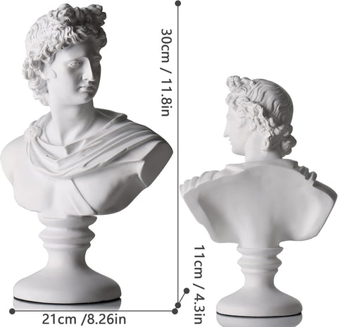 11.8 Inch Greek Statue of David, Classic Roman Bust,David Bust,Greek Mythology Sculpture for Home Decor,Large Roman Goddess Apollo Sculpture for Home Décor Resin Crafts for Sketch Practice Artist