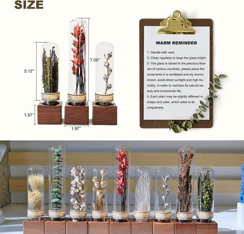 Immortal Plants Book Shelf Decor,Office Desk Decor/Natural Home Statues/Sculpture for Women Desk Aesthetic,Unique Gifts for Plant Lovers (3, Bell Grass Burgundy)