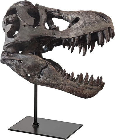 T Rex Skull, Dinosaur Statue Resin Replica Head Sculptures, Home Office Decorations on Shelf Table Desk Bookshelf, Birthday Party Gift for Kids and Adults,11.8 inch