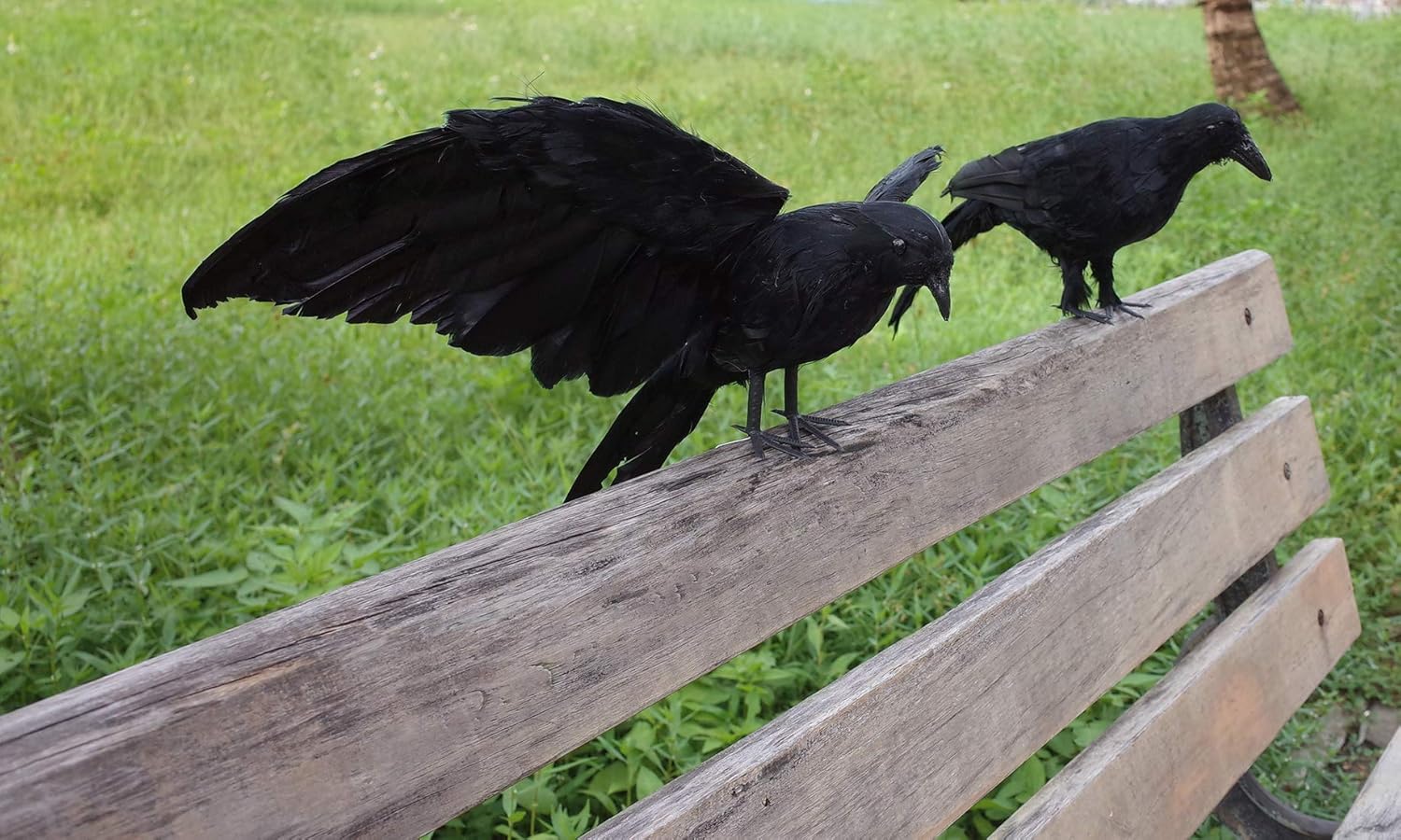 2-Pack Realistic Crows Lifesize Extra Large Handmade Black Feathered Crow for Halloween Decorations Birds, L (13 inch+12 inch)