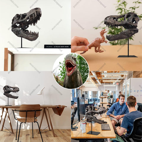 T Rex Skull, Dinosaur Statue Resin Replica Head Sculptures, Home Office Decorations on Shelf Table Desk Bookshelf, Birthday Party Gift for Kids and Adults,11.8 inch