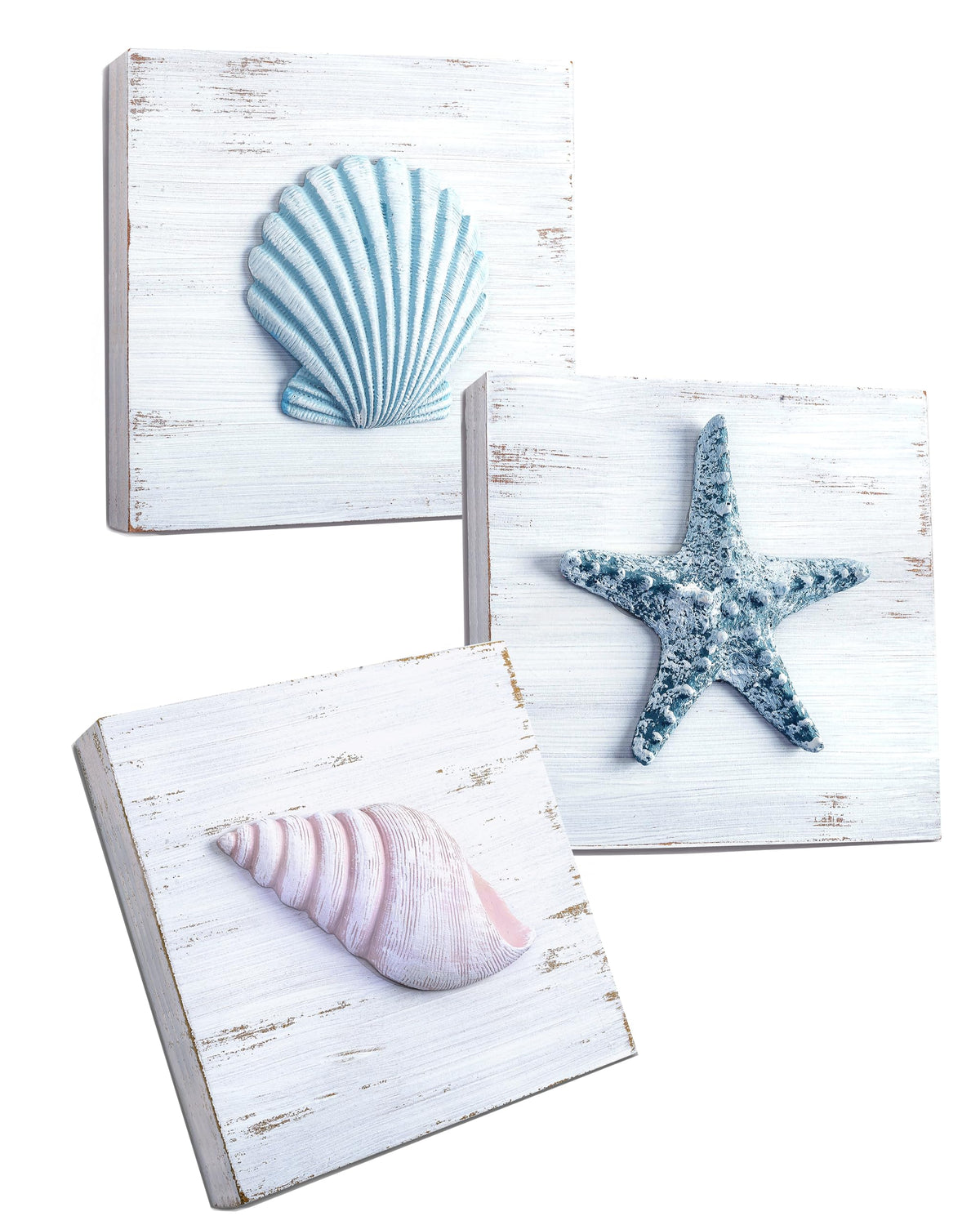 TideAndTales Beach Decor Seashell Wall Art - (Set of 4) Textured 3D Shells and Starfish Decorations for Home or Beach House, Rustic Ocean Theme Coastal Bedroom or Bathroom Wall Decor 6" x 6"